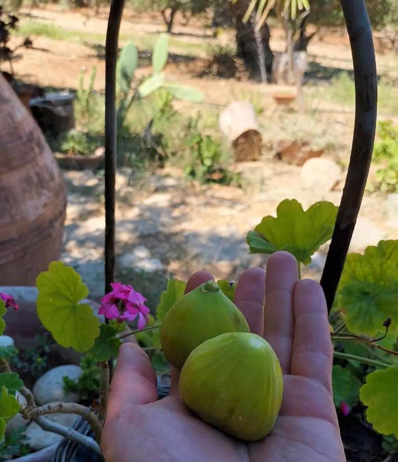 קרטוקמבוס Levantes Garden House - מראה חיצוני תמונה