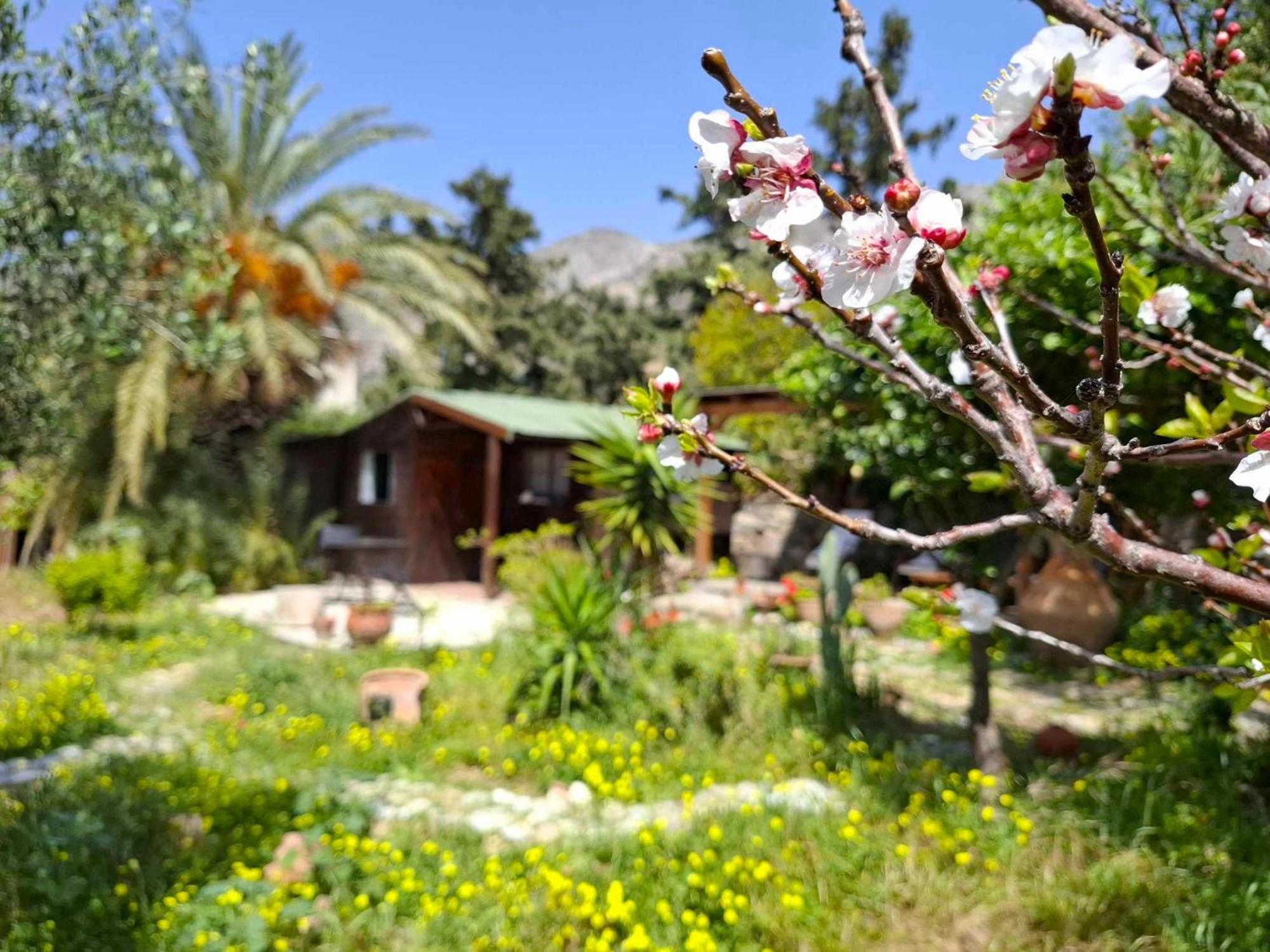 קרטוקמבוס Levantes Garden House - מראה חיצוני תמונה